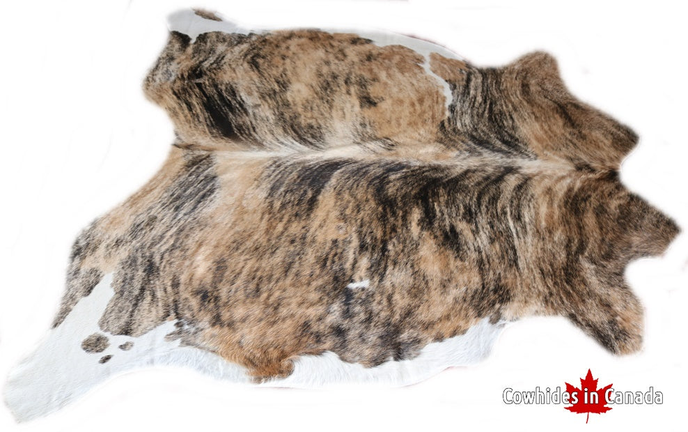 98179 Cowhide rug Collection Cowhides in Canada XL   BRINDLE LIGHT