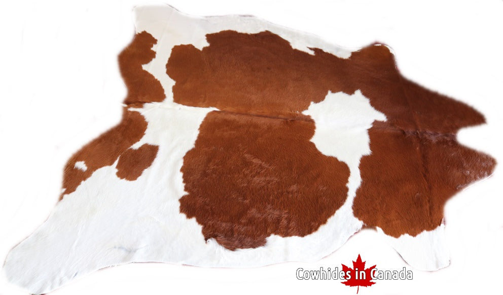 98180  Cowhide rug Collection Cowhides in Canada