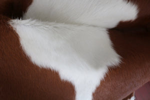 98180  Cowhide rug Collection Cowhides in Canada