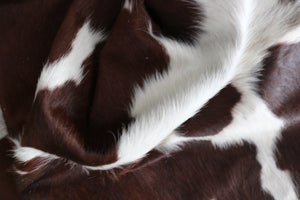 98181 Cowhide rug Collection Cowhides in Canada TRICOLOR