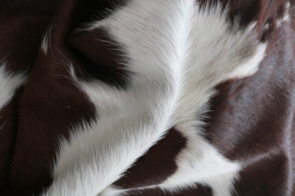 98181 Cowhide rug Collection Cowhides in Canada TRICOLOR