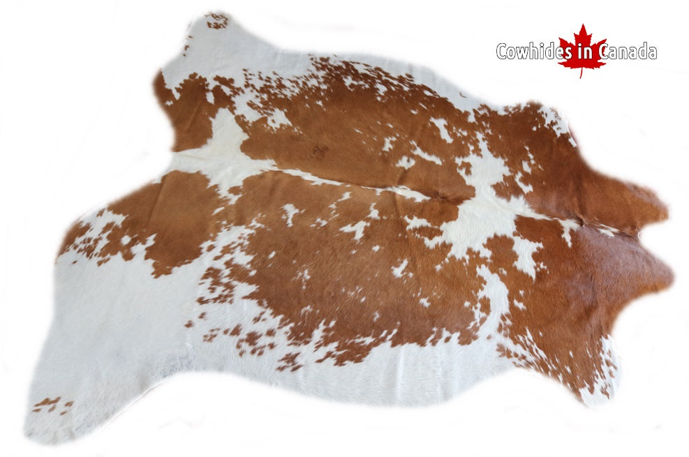 98186  Cowhide rug Collection Cowhides in Canada