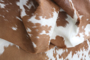 98186  Cowhide rug Collection Cowhides in Canada