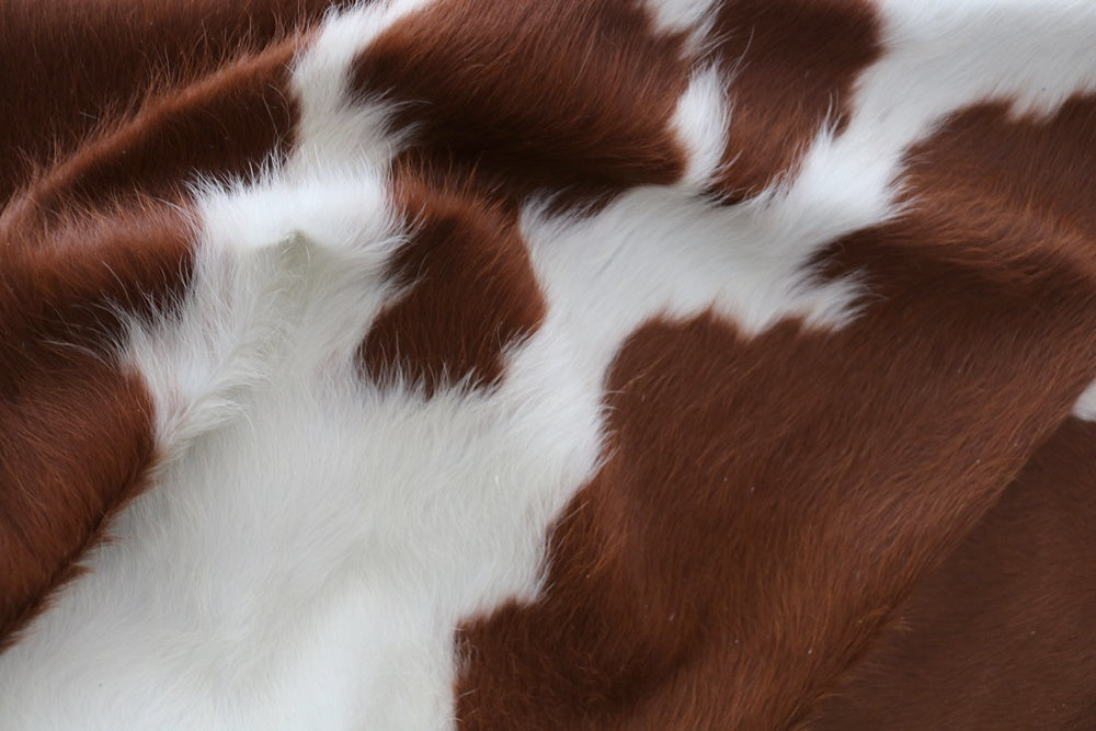 98187  Cowhide rug Collection Cowhides in Canada