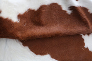 98187  Cowhide rug Collection Cowhides in Canada