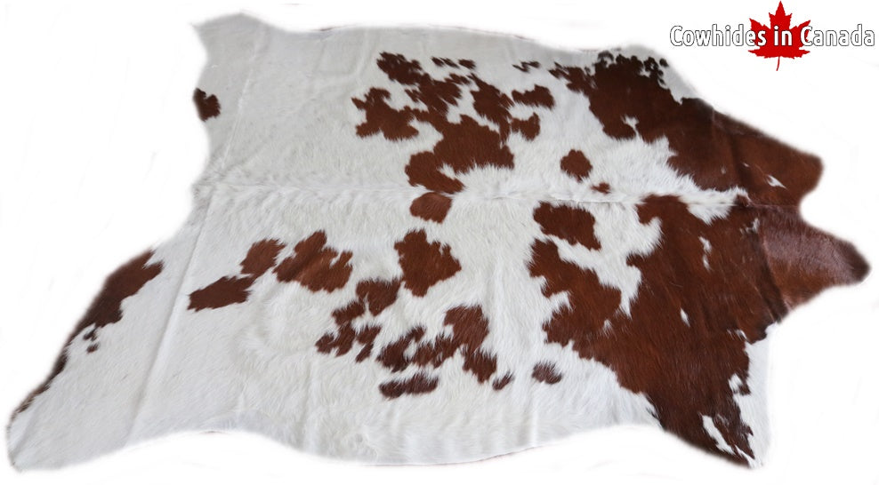 98188  Cowhide rug Collection Cowhides in Canada