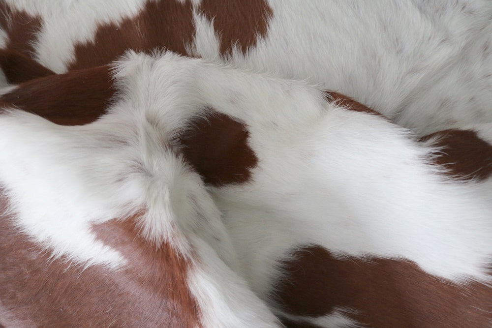 98188  Cowhide rug Collection Cowhides in Canada