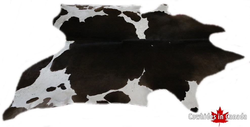 A 95066  Cowhide rug Collection Cowhides in Canada XXXL SUPER BIG SIZE