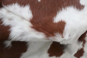 98188  Cowhide rug Collection Cowhides in Canada