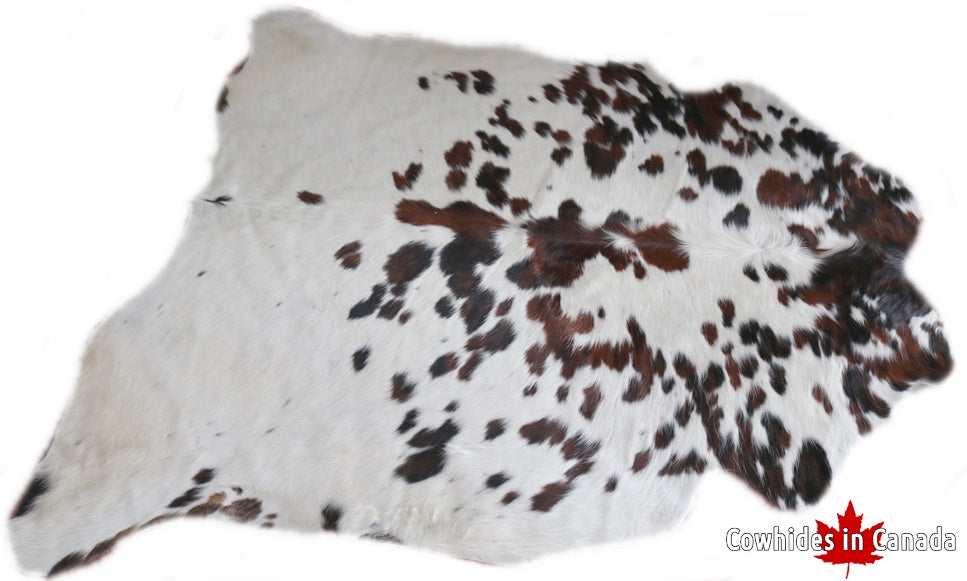 98189  Cowhide rug Collection Cowhides in Canada