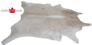 A 95067  Cowhide rug Collection Cowhides in Canada XXXL SUPER BIG SIZE