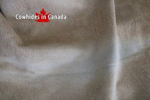 A 95067  Cowhide rug Collection Cowhides in Canada XXXL SUPER BIG SIZE