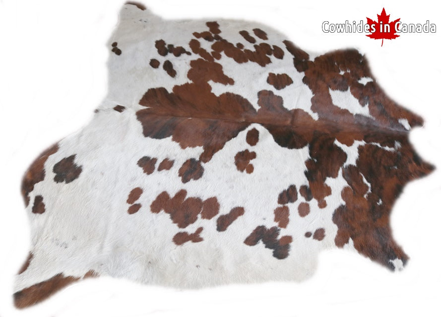 98191 Cowhide rug Collection Cowhides in Canada TRICOLOR