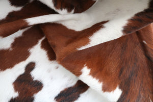 98191 Cowhide rug Collection Cowhides in Canada TRICOLOR