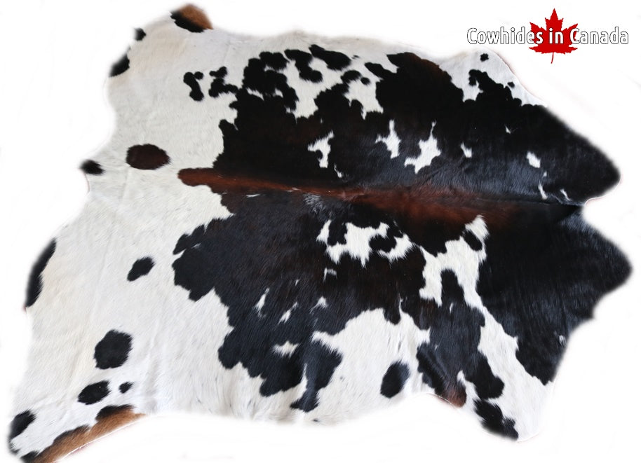 98192 Cowhide rug Collection Cowhides in Canada TRICOLOR