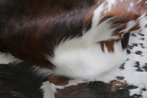 98195 Cowhide rug Collection Cowhides in Canada TRICOLOR