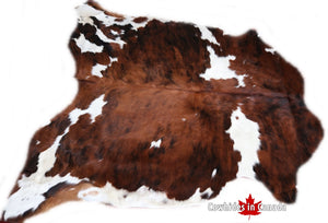 98196 Cowhide rug Collection Cowhides in Canada TRICOLOR