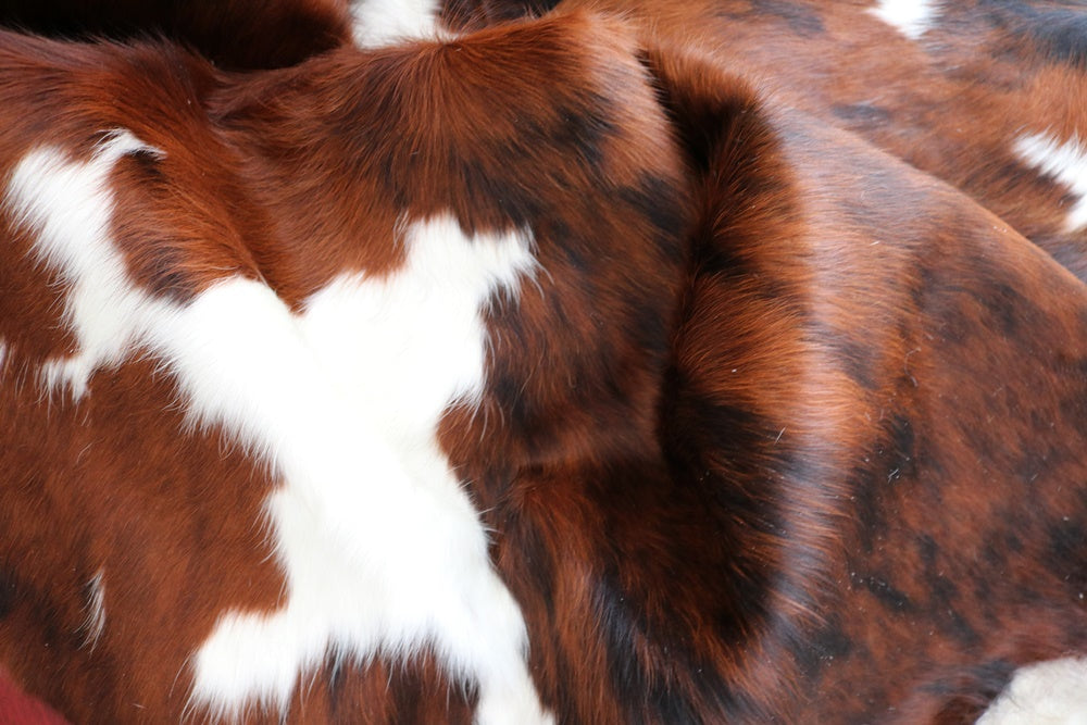 98196 Cowhide rug Collection Cowhides in Canada TRICOLOR