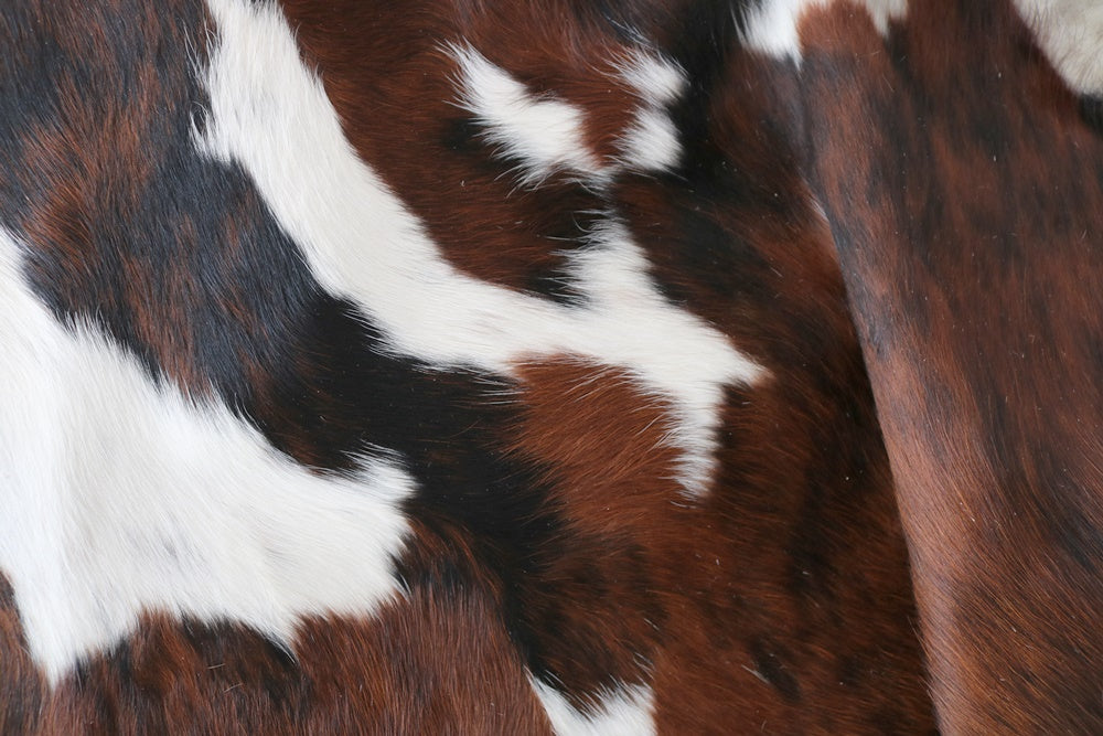 98196 Cowhide rug Collection Cowhides in Canada TRICOLOR