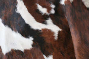 98196 Cowhide rug Collection Cowhides in Canada TRICOLOR