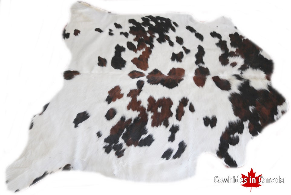 98200 Cowhide rug Collection Cowhides in Canada TRICOLOR