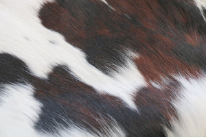 98200 Cowhide rug Collection Cowhides in Canada TRICOLOR