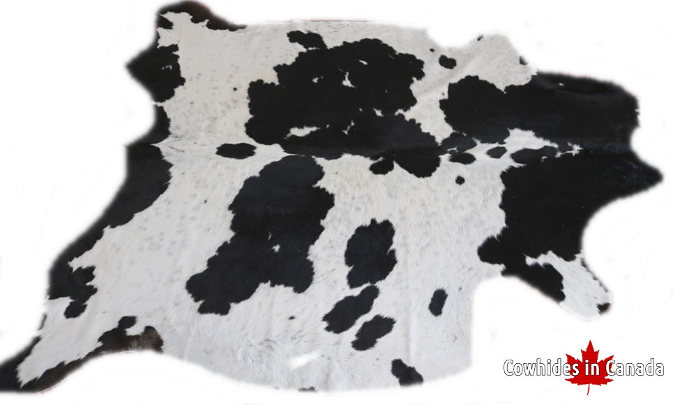 98207 Cowhide rug Collection Cowhides in Canada