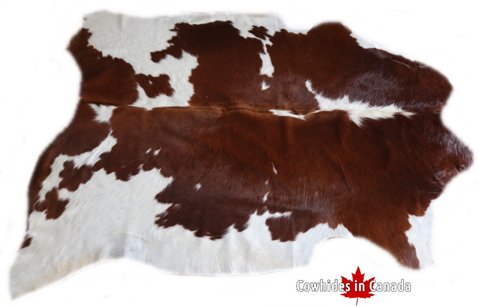 98214 Cowhide rug Collection Cowhides in Canada