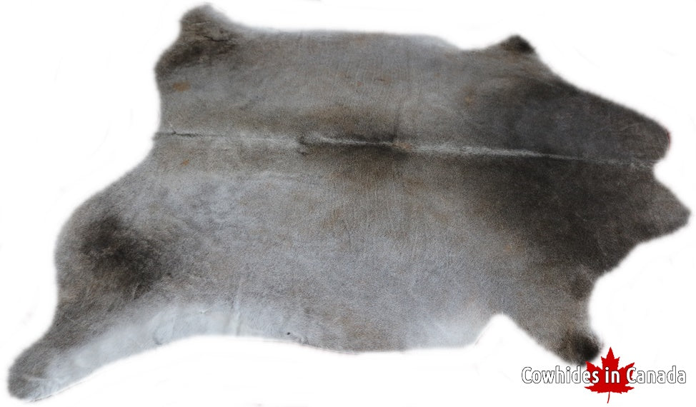 98222 Cowhide rug Collection Cowhides in Canada XL