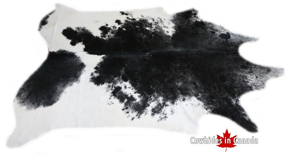 A 95112  Cowhide rug Collection Cowhides in Canada XXXL SUPER BIG SIZE