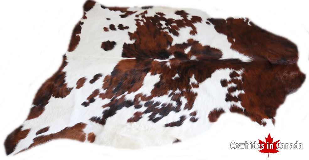 98223 Cowhide rug Collection Cowhides in Canada TRICOLOR