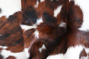 98223 Cowhide rug Collection Cowhides in Canada TRICOLOR