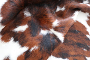 98223 Cowhide rug Collection Cowhides in Canada TRICOLOR