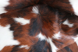 98223 Cowhide rug Collection Cowhides in Canada TRICOLOR