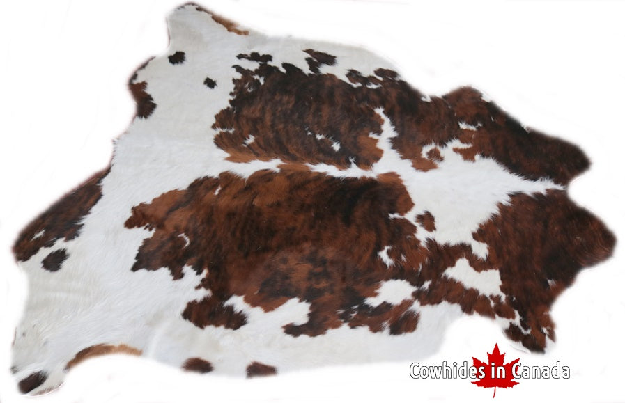 98225 Cowhide rug Collection Cowhides in Canada TRICOLOR