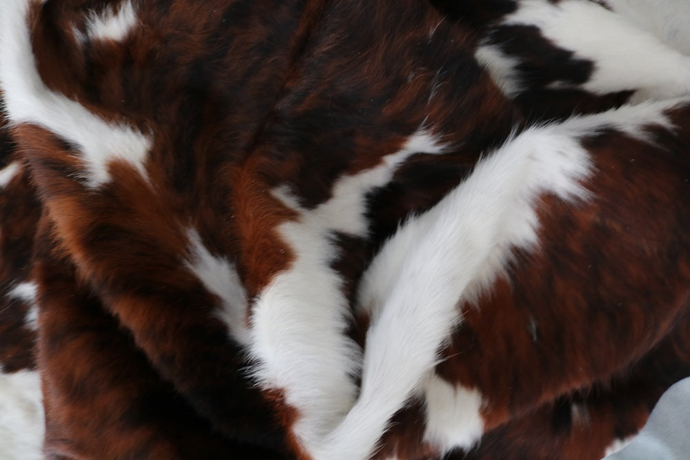 98225 Cowhide rug Collection Cowhides in Canada TRICOLOR