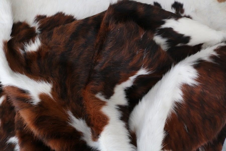 98225 Cowhide rug Collection Cowhides in Canada TRICOLOR