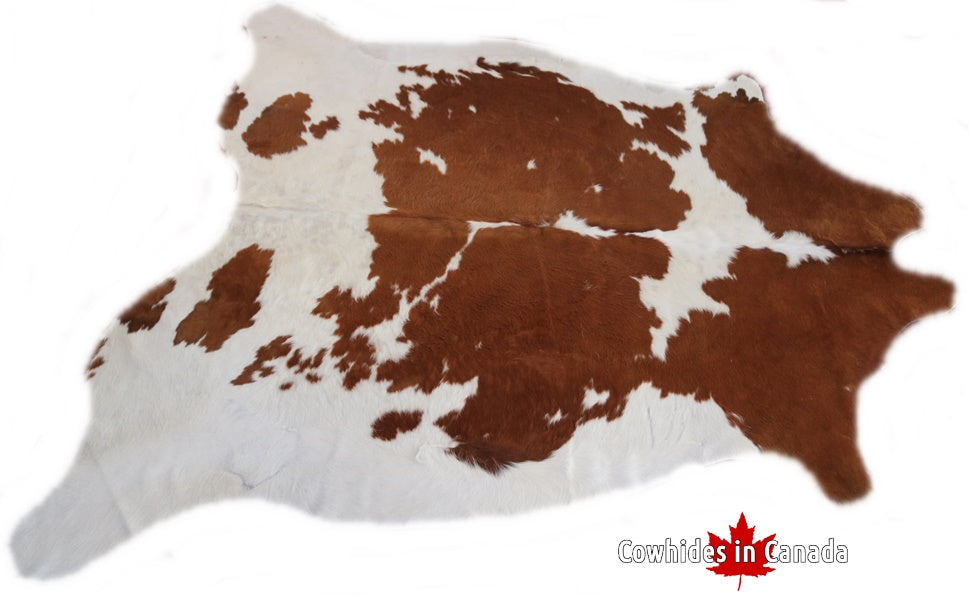 98229  Cowhide rug Collection  Cowhides in Canada