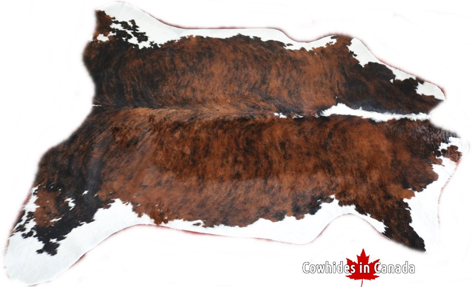 98231 Cowhide rug Collection Cowhides in Canada TRICOLOR