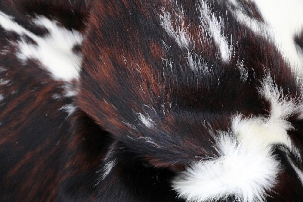 98232 Cowhide rug Collection Cowhides in Canada TRICOLOR