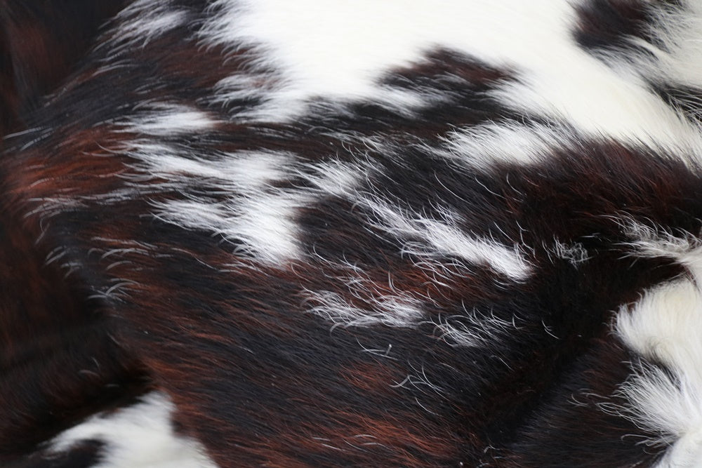 98232 Cowhide rug Collection Cowhides in Canada TRICOLOR