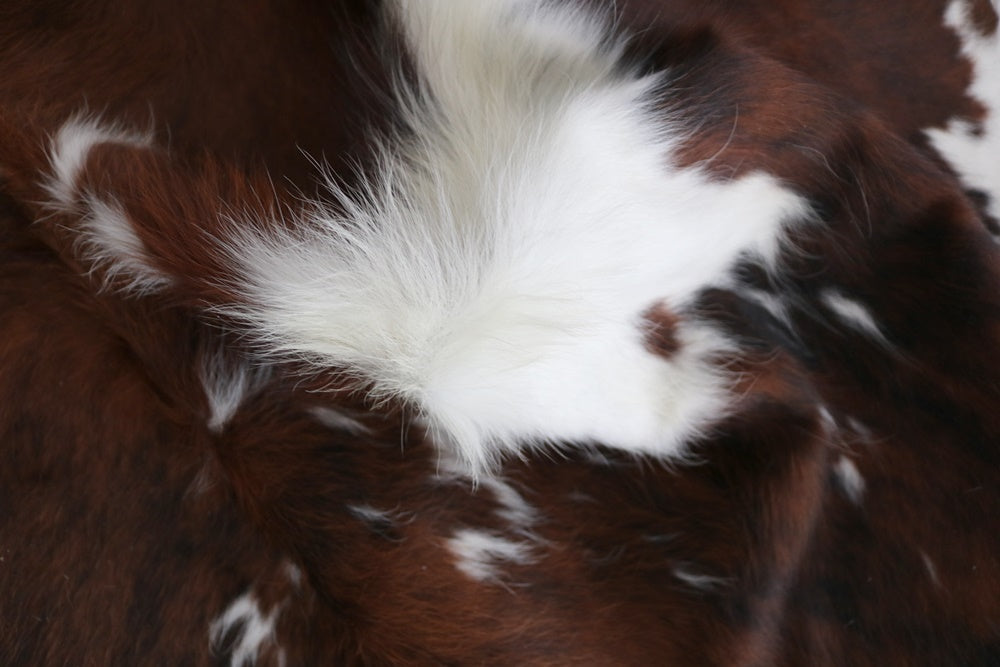 98233 Cowhide rug Collection Cowhides in Canada TRICOLOR