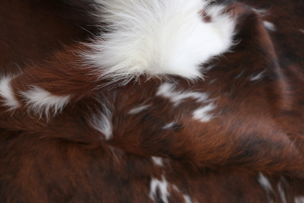 98233 Cowhide rug Collection Cowhides in Canada TRICOLOR