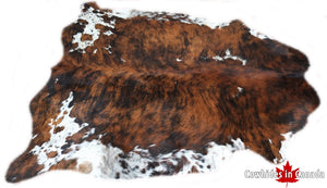 98234 Cowhide rug Collection Cowhides in Canada TRICOLOR