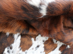 98234 Cowhide rug Collection Cowhides in Canada TRICOLOR