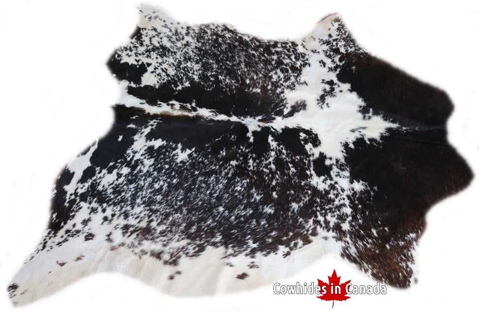 98236  Cowhide rug Collection Cowhides in Canada