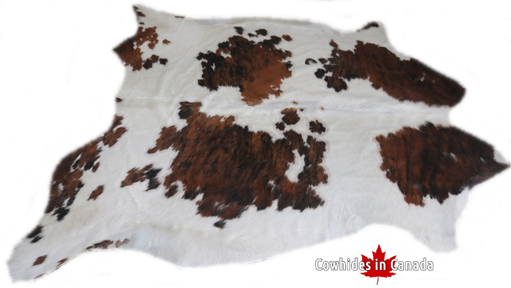 Cowhide Rug Tricolor XXL Premium Collection. Code 98237