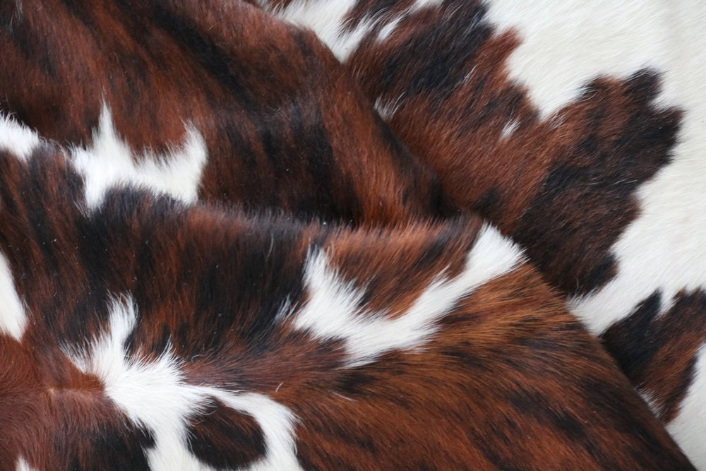 98239  Cowhide rug Collection Cowhides in Canada TRICOLOR