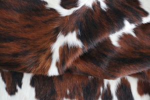 98239  Cowhide rug Collection Cowhides in Canada TRICOLOR