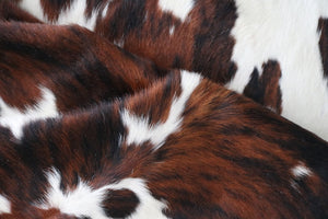 98239  Cowhide rug Collection Cowhides in Canada TRICOLOR